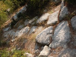 DSC_1503m