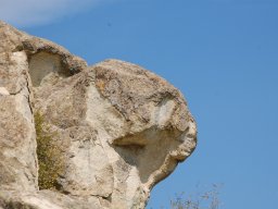 DSC_1551m