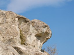 DSC_1552m