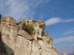 DSC_1553m