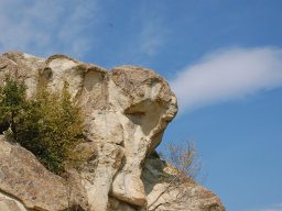 DSC_1554m