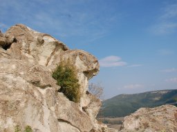 DSC_1659m
