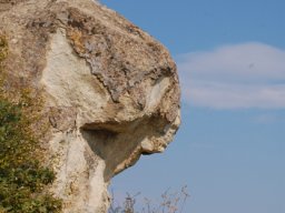 DSC_1660m