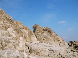 DSC_1667m