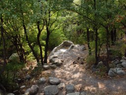 DSC_1715m