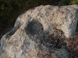 DSC_1768m