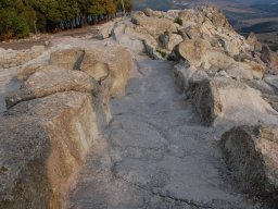 DSC_1839m