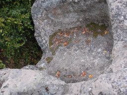 DSC_1890m