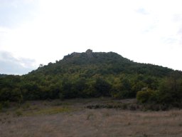 DSC_1904m