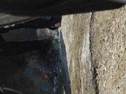 DSC_4891