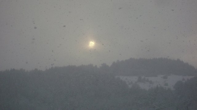 DSC05236-1