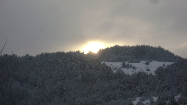 DSC05244-1
