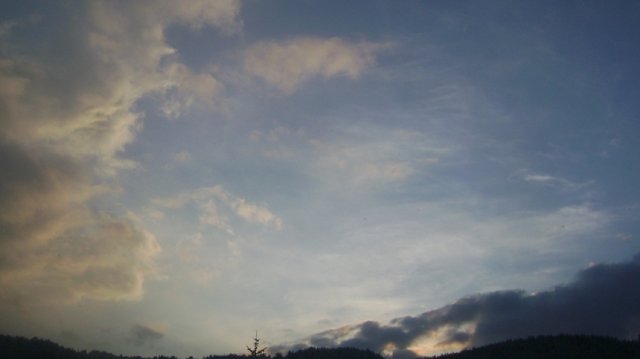 DSC05259-1