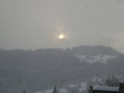 DSC05239-1