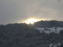 DSC05244-1
