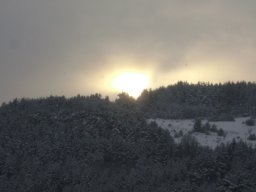 DSC05250-1