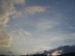 DSC05259-1