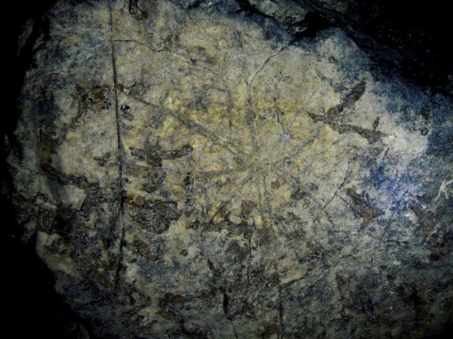 DSCN7474-1