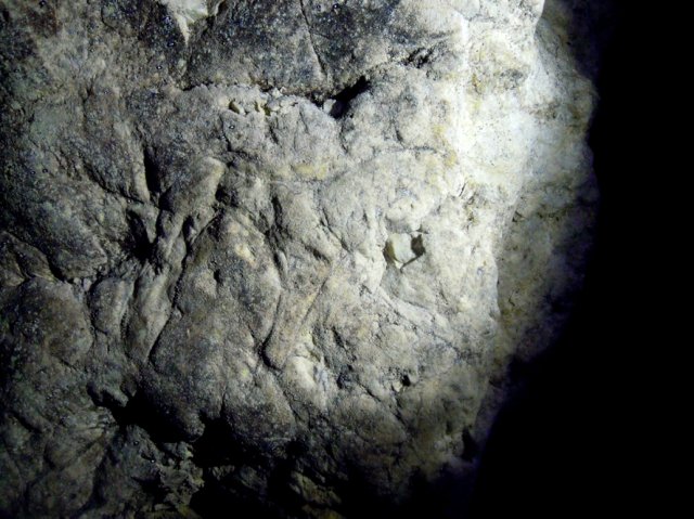 DSCN7510-1