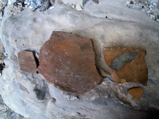 DSCN7560-1