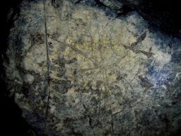 DSCN7474-1