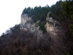 DSCN7564-1