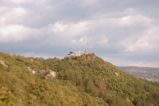 DSC_9708-1~1