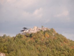 DSC_9705-1~0