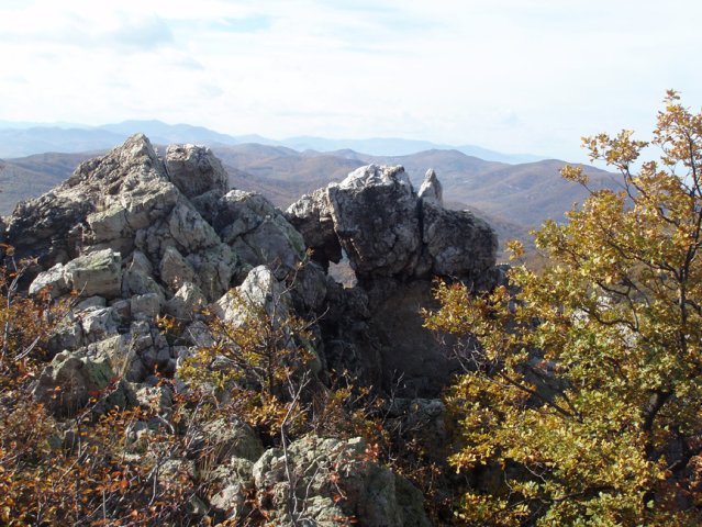 P1010234-1