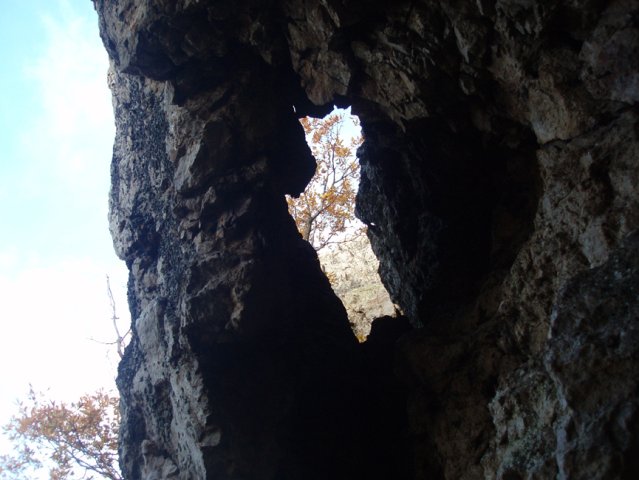 P1010316-1