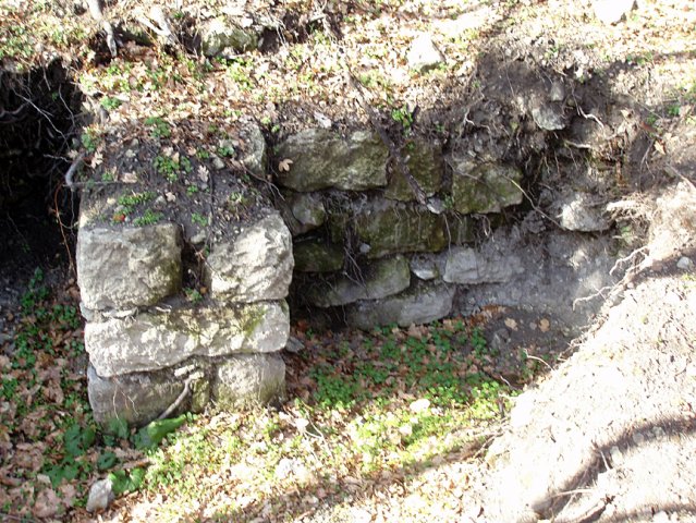 P1010192-1