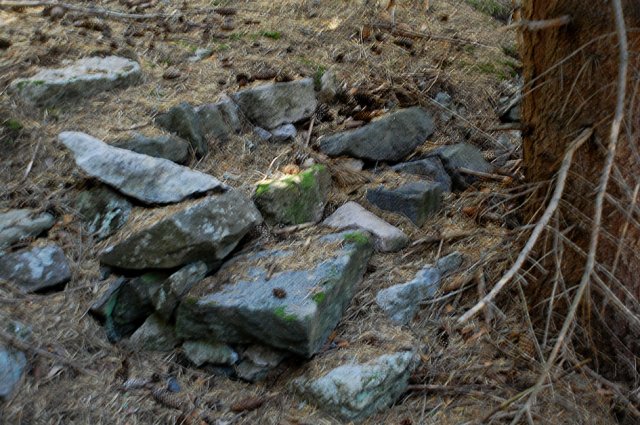 DSC_9129-1
