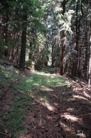 DSC_9698-1~0