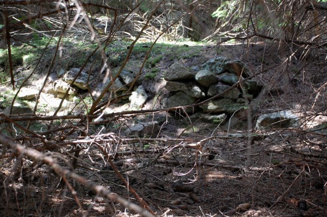 DSC_9715-1