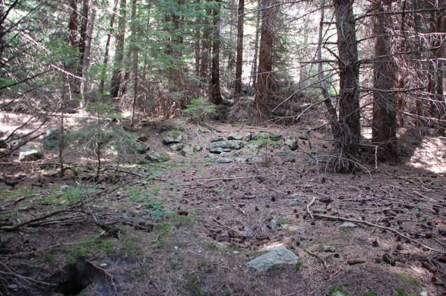 DSC_9716-1~0