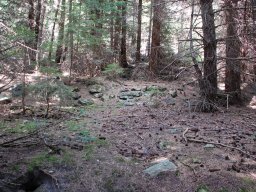 DSC_9716-1~0
