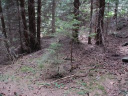 DSC_9725-1~0