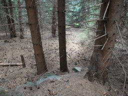 DSC_9738-1