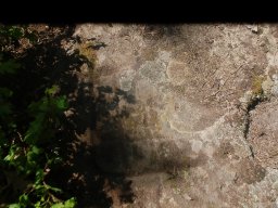 DSC_0303-1