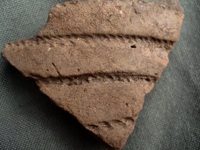 PA210043