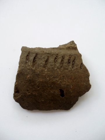 PB010039
