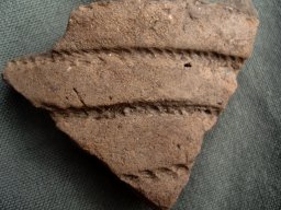 PA210043