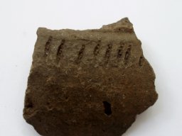 PB010039