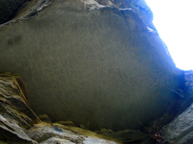 DSCN0116-1