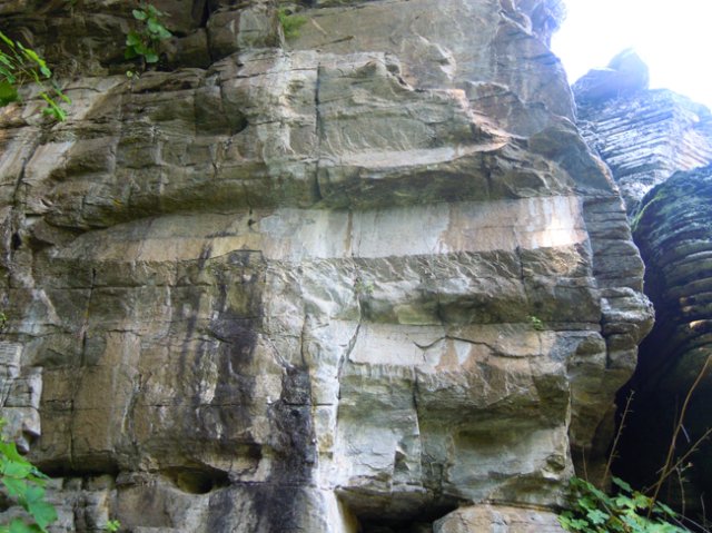 DSCN0131-1