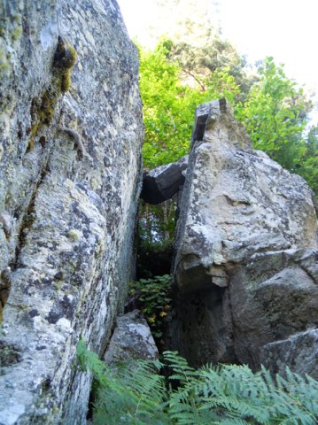 DSCN0145-1