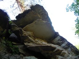 DSCN0110-1
