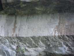 DSCN0127-1