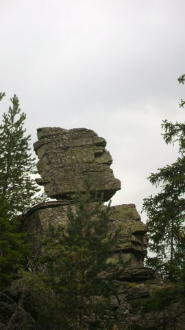 DSC09246-1