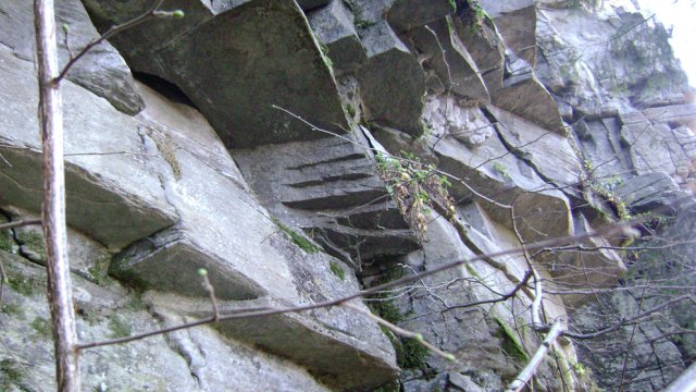 DSC09447-1